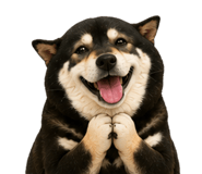 846372391