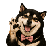 846372392