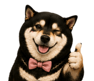 846372394