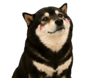 846372397