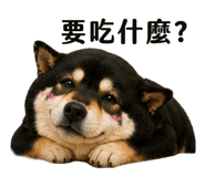 846372399