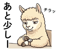 846373271