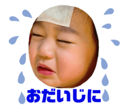 846374255