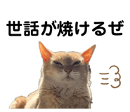 846374940