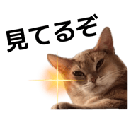 846374942