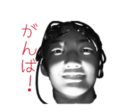 846375031
