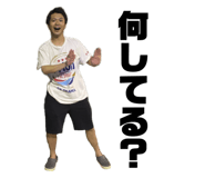 846375231