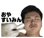 846375255