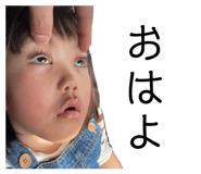 846375290