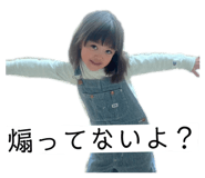 846375291