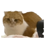 846375434