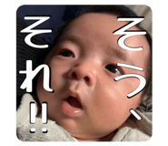 846376005
