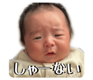 846376012