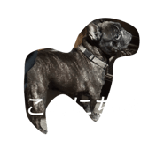 846376803