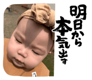 846376966