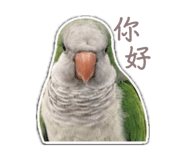 846376998