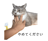 846377187