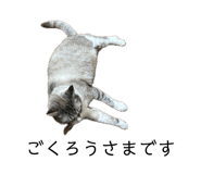 846377191