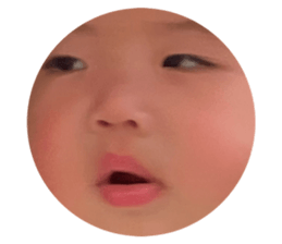 846377267