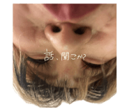 846377781