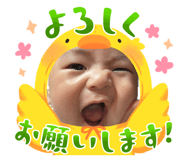 846379723