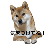 846380835