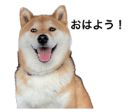 846380838