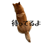 846380839