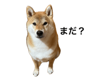 846380840