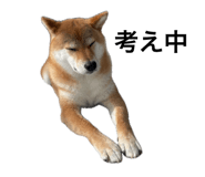 846380843