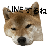 846380845
