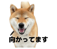 846380846