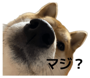 846380848