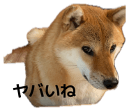 846380849