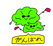 846380904