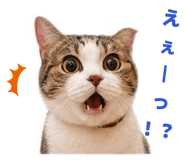 846382804