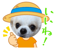846383089