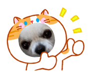 846383094