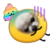 846383101