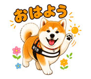 846383217