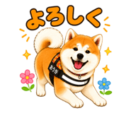 846383223