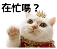 846383843