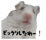 846383982