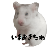 846383986