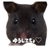 846383989