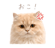 846384337