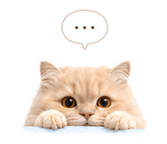 846384345