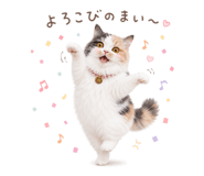 846384362
