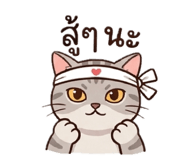 846387706