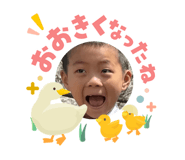 846389516